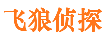 顺城市婚外情调查